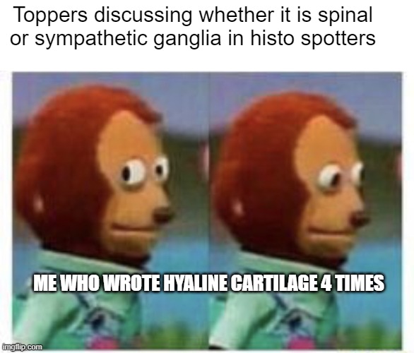 Histo_Spotters | Toppers discussing whether it is spinal or sympathetic ganglia in histo spotters; ME WHO WROTE HYALINE CARTILAGE 4 TIMES | image tagged in side eye teddy | made w/ Imgflip meme maker