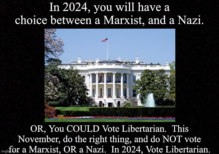 Blank  | In 2024, you will have a choice between a Marxist, and a Nazi. OR, You COULD Vote Libertarian.  This November, do the right thing, and do NOT vote for a Marxist, OR a Nazi.  In 2024, Vote Libertarian. | image tagged in blank | made w/ Imgflip meme maker
