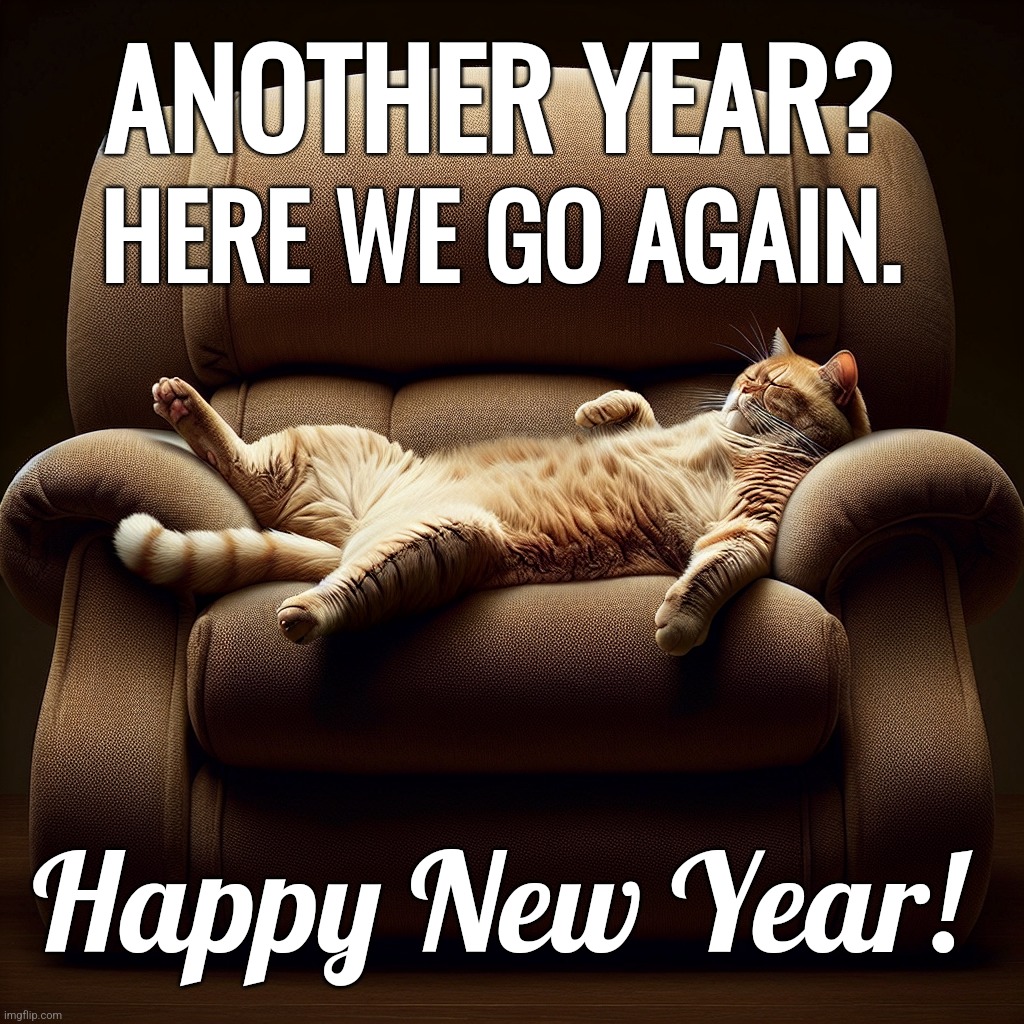 Another Year? Happy New Year | ANOTHER YEAR? HERE WE GO AGAIN. Happy New Year! | image tagged in cat,happy new year,chair,funny cat memes,funny,funny cats | made w/ Imgflip meme maker