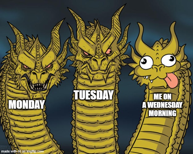 Three-headed Dragon | TUESDAY; ME ON A WEDNESDAY MORNING; MONDAY | image tagged in three-headed dragon | made w/ Imgflip meme maker