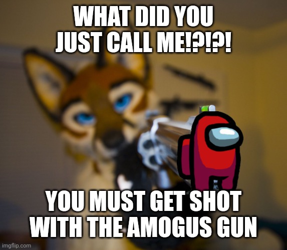 Furry with gun | WHAT DID YOU JUST CALL ME!?!?! YOU MUST GET SHOT WITH THE AMOGUS GUN | image tagged in furry with gun | made w/ Imgflip meme maker
