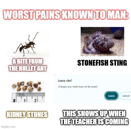 ah i cant close the tab | THIS SHOWS UP WHEN THE TEACHER IS COMING | image tagged in most painful things known to man,tab,close,funny,meme,school | made w/ Imgflip meme maker