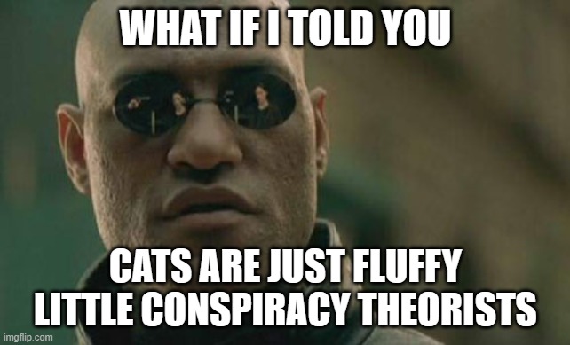 Matrix Morpheus Meme | WHAT IF I TOLD YOU; CATS ARE JUST FLUFFY LITTLE CONSPIRACY THEORISTS | image tagged in memes,matrix morpheus | made w/ Imgflip meme maker