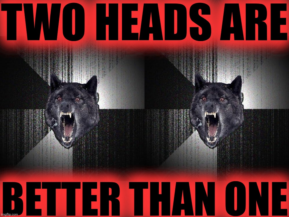 TWO HEADS ARE BETTER THAN ONE | image tagged in memes,insanity wolf | made w/ Imgflip meme maker