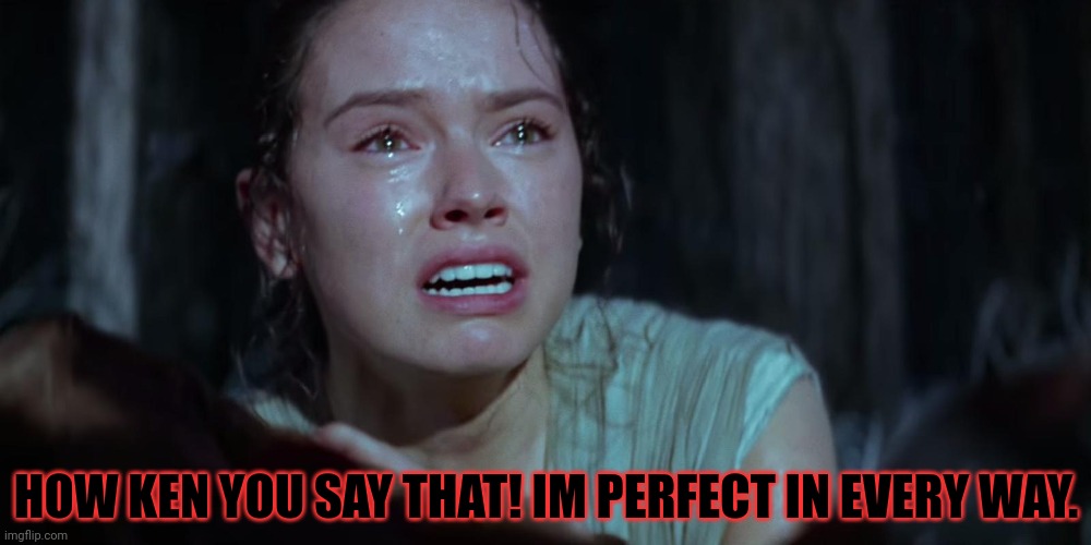 Star Wars Rey Crying | HOW KEN YOU SAY THAT! IM PERFECT IN EVERY WAY. | image tagged in star wars rey crying | made w/ Imgflip meme maker