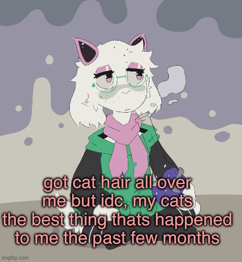 i love my cats sm | got cat hair all over me but idc, my cats the best thing thats happened to me the past few months | image tagged in im regretting | made w/ Imgflip meme maker