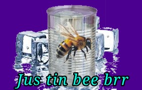 Jus tin bee brr | image tagged in jus tin bee brr | made w/ Imgflip meme maker