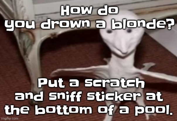 I'm blonde btw and this is funny asf | How do you drown a blonde? Put a scratch and sniff sticker at the bottom of a pool. | image tagged in the flarg | made w/ Imgflip meme maker