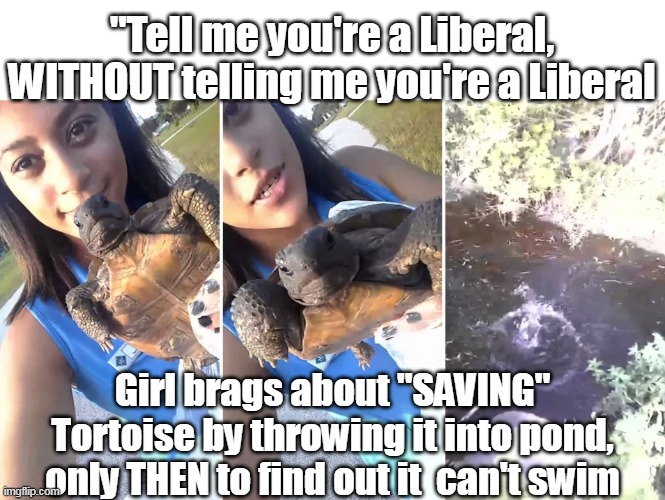 Determine a problem when there isn't, then "Fix" it by not knowing Jack Shit | "Tell me you're a Liberal, WITHOUT telling me you're a Liberal; Girl brags about "SAVING" Tortoise by throwing it into pond, only THEN to find out it  can't swim | image tagged in liberal tortoise drowning meme | made w/ Imgflip meme maker