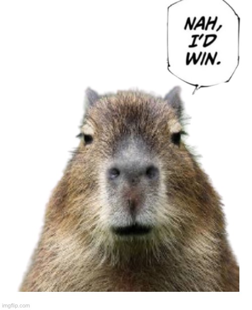 Nah I'd win speech bubble | image tagged in nah i'd win speech bubble,capybara,memes,meme,animeme,shitpost | made w/ Imgflip meme maker