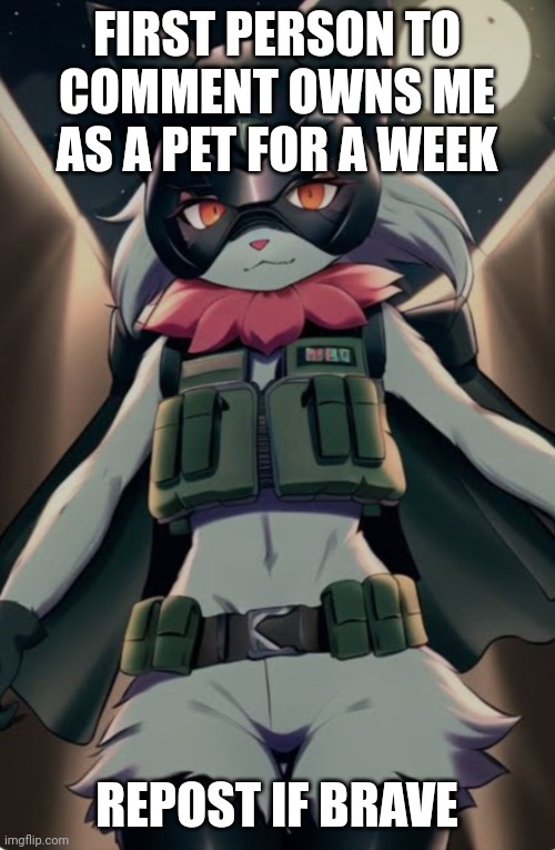 Because trend | FIRST PERSON TO COMMENT OWNS ME AS A PET FOR A WEEK; REPOST IF BRAVE | image tagged in tactical gato | made w/ Imgflip meme maker