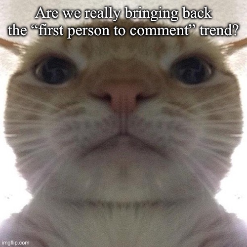 Judgement | Are we really bringing back the “first person to comment” trend? | image tagged in staring cat/gusic | made w/ Imgflip meme maker