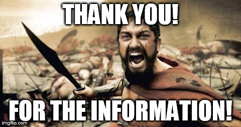 Sparta Leonidas Meme | THANK YOU! FOR THE INFORMATION! | image tagged in memes,sparta leonidas | made w/ Imgflip meme maker