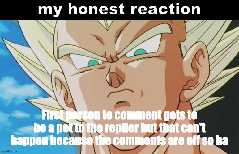Yuh | First person to comment gets to be a pet to the replier but that can't happen because the comments are off so ha | image tagged in vegeta my honest reaction | made w/ Imgflip meme maker