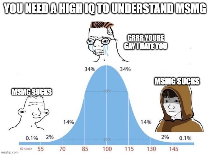 Bell Curve | YOU NEED A HIGH IQ TO UNDERSTAND MSMG; GRRR YOURE GAY I HATE YOU; MSMG SUCKS; MSMG SUCKS | image tagged in bell curve | made w/ Imgflip meme maker