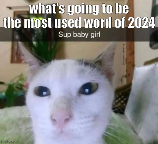 what’s going to be the most used word of 2024 | made w/ Imgflip meme maker