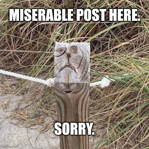 Post | MISERABLE POST HERE. SORRY. | image tagged in post | made w/ Imgflip meme maker