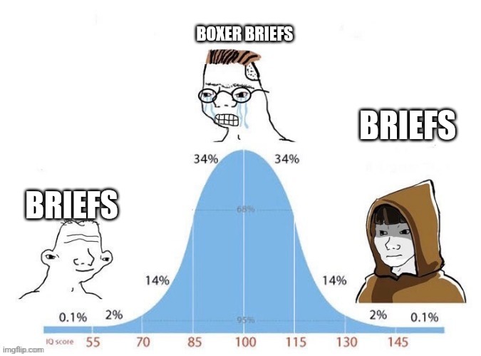 Bell Curve | BOXER BRIEFS; BRIEFS; BRIEFS | image tagged in bell curve | made w/ Imgflip meme maker