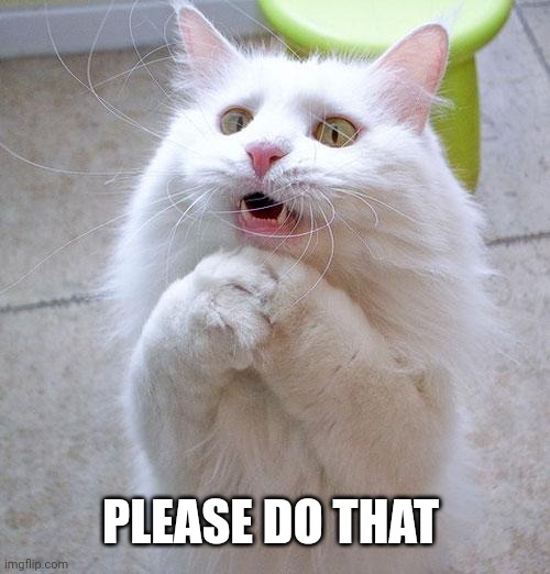 Begging Cat | PLEASE DO THAT | image tagged in begging cat | made w/ Imgflip meme maker