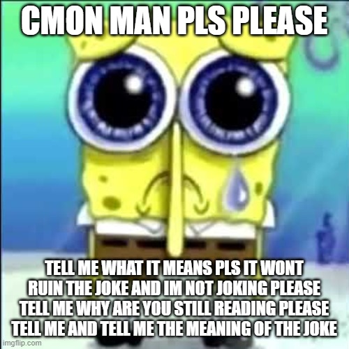 CMON MAN PLS PLEASE TELL ME WHAT IT MEANS PLS IT WONT RUIN THE JOKE AND IM NOT JOKING PLEASE TELL ME WHY ARE YOU STILL READING PLEASE TELL M | image tagged in sad spongebob | made w/ Imgflip meme maker