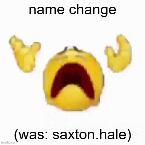 :nooo: | name change; (was: saxton.hale) | image tagged in nooo | made w/ Imgflip meme maker