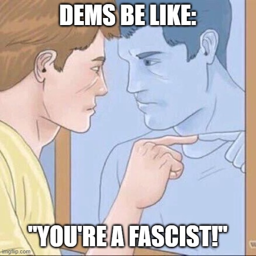 Pointing mirror guy | DEMS BE LIKE: "YOU'RE A FASCIST!" | image tagged in pointing mirror guy | made w/ Imgflip meme maker