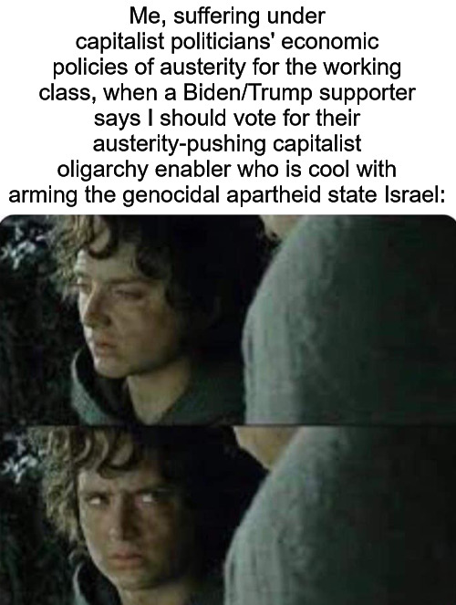 Late Stage Capitalism Be Like: | Me, suffering under capitalist politicians' economic policies of austerity for the working class, when a Biden/Trump supporter says I should vote for their austerity-pushing capitalist oligarchy enabler who is cool with arming the genocidal apartheid state Israel: | image tagged in austarity,joe biden,donald trump,oligarchy,israel,palestine | made w/ Imgflip meme maker