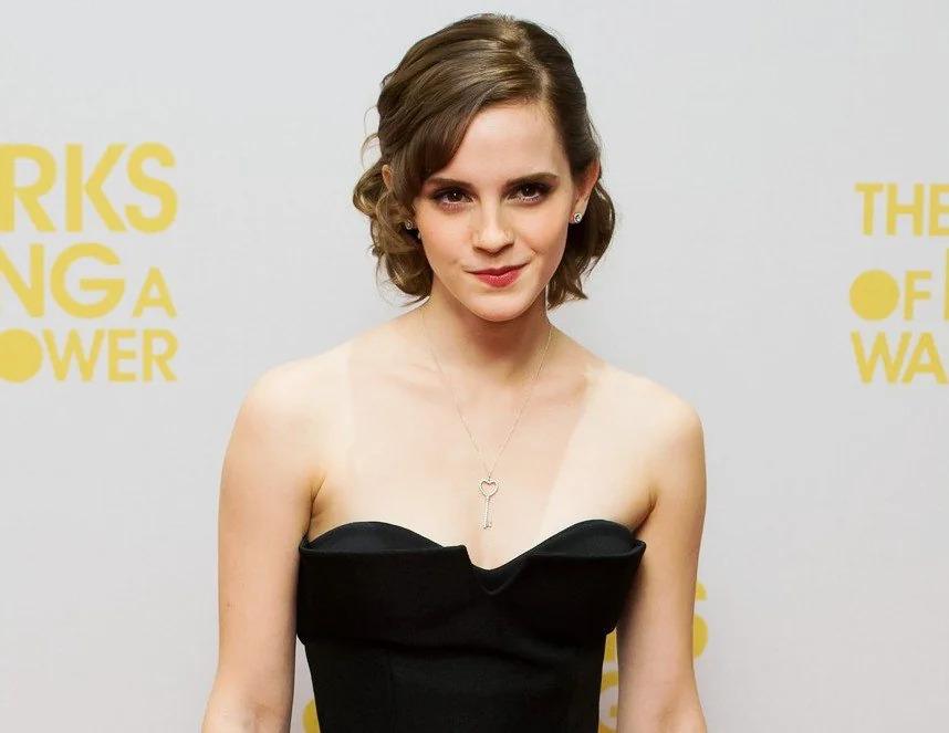 Emma Watson smirking Blank Meme Template