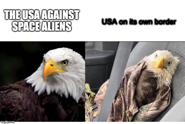 USA eagle | USA on its own border; THE USA AGAINST SPACE ALIENS | image tagged in bald eagle comparison,border | made w/ Imgflip meme maker