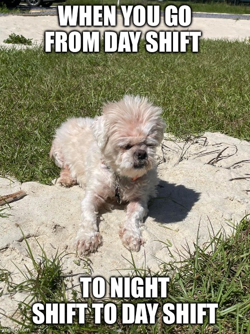 Work memes | WHEN YOU GO FROM DAY SHIFT; TO NIGHT SHIFT TO DAY SHIFT | image tagged in work | made w/ Imgflip meme maker