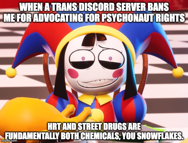 Pomni's beautiful pained smile | WHEN A TRANS DISCORD SERVER BANS ME FOR ADVOCATING FOR PSYCHONAUT RIGHTS; HRT AND STREET DRUGS ARE FUNDAMENTALLY BOTH CHEMICALS, YOU SNOWFLAKES. | image tagged in pomni's beautiful pained smile,psychonaut,freedom of intoxication,trans,lgbt,tadc | made w/ Imgflip meme maker