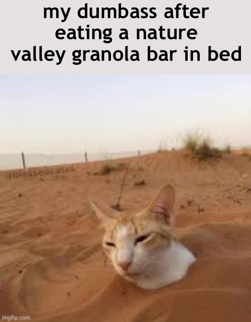 tatooine crunch | my dumbass after eating a nature valley granola bar in bed | image tagged in cat | made w/ Imgflip meme maker