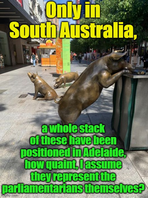 Adelaide, South Australia. | Only in South Australia, Yarra Man; a whole stack of these have been positioned in Adelaide, how quaint, I assume they represent the parliamentarians themselves? | image tagged in pigs in the trough,pigs,parliamentarians,extremists,meanwhile in australia,wankers | made w/ Imgflip meme maker
