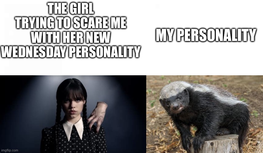 Honey Badger don’t give a shit | THE GIRL TRYING TO SCARE ME WITH HER NEW WEDNESDAY PERSONALITY; MY PERSONALITY | image tagged in honey badger | made w/ Imgflip meme maker