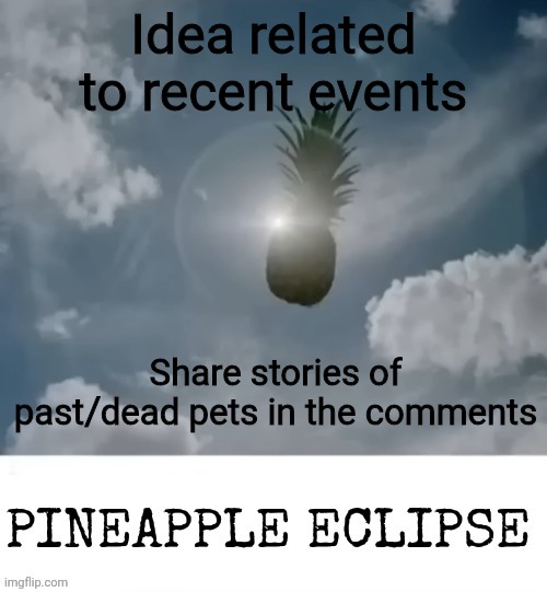 PINEAPPLE_ECLIPSE | Idea related to recent events; Share stories of past/dead pets in the comments | image tagged in pineapple_eclipse | made w/ Imgflip meme maker