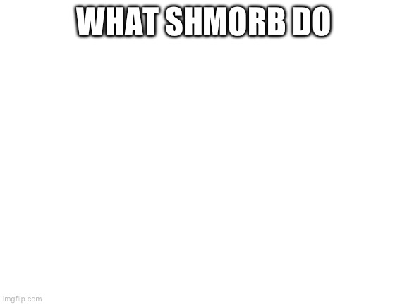 Blank White Template | WHAT SHMORB DO | image tagged in blank white template | made w/ Imgflip meme maker