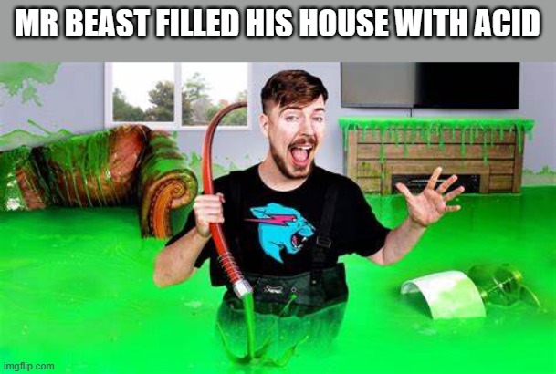 mr beast | MR BEAST FILLED HIS HOUSE WITH ACID | image tagged in mr beast | made w/ Imgflip meme maker