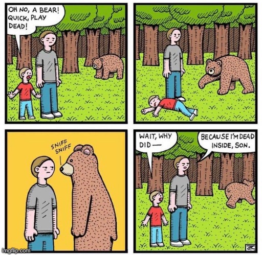 Bear in Forest | image tagged in bear,quick play dead,sniff,dad,i am dead inside | made w/ Imgflip meme maker