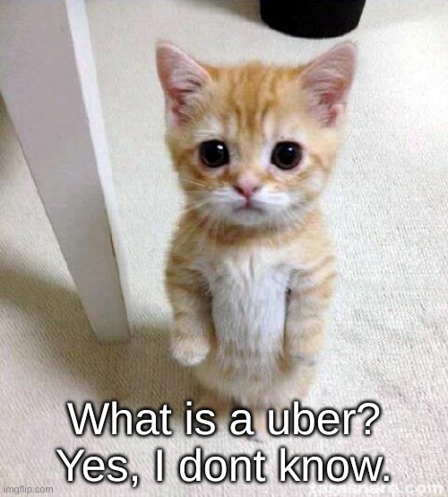 I have no idea. | What is a uber? Yes, I dont know. | image tagged in oh wow are you actually reading these tags,have some choccy milk | made w/ Imgflip meme maker