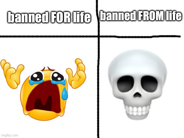 oopsie- | banned FROM life; banned FOR life | image tagged in meme,funny,oops | made w/ Imgflip meme maker