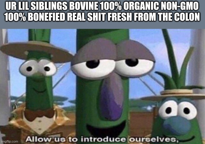 VeggieTales 'Allow us to introduce ourselfs' | UR LIL SIBLINGS BOVINE 100% ORGANIC NON-GMO 100% BONEFIED REAL SHIT FRESH FROM THE COLON | image tagged in veggietales 'allow us to introduce ourselfs' | made w/ Imgflip meme maker