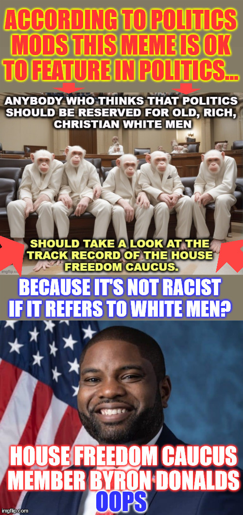 Guess it all depends on the context... right? | image tagged in it's not racist if it pertains to whites,double standards,freedom caucus,compared to monkeys,byron donalds freedom caucus member | made w/ Imgflip meme maker