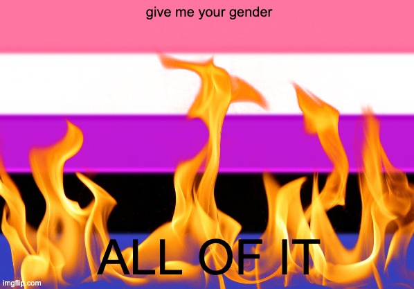 i got bored so if anyone wants one ill make it | give me your gender; ALL OF IT | made w/ Imgflip meme maker
