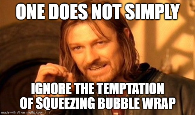 One Does Not Simply | ONE DOES NOT SIMPLY; IGNORE THE TEMPTATION OF SQUEEZING BUBBLE WRAP | image tagged in memes,one does not simply | made w/ Imgflip meme maker