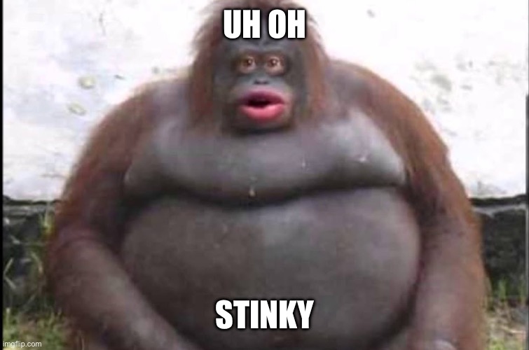 stinky | UH OH STINKY | image tagged in stinky | made w/ Imgflip meme maker