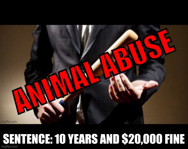 ANIMAL ABUSE SENTENCE: 10 YEARS AND $20,000 FINE | made w/ Imgflip meme maker