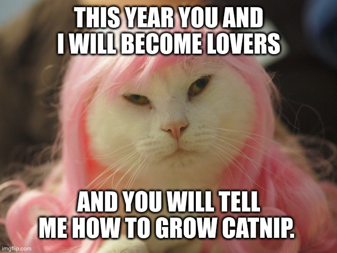 Hot gamer cat wants your catnip secrets | THIS YEAR YOU AND I WILL BECOME LOVERS; AND YOU WILL TELL ME HOW TO GROW CATNIP. | image tagged in radioactive pee,catnip,secrets,honey trap,memes,gamer girl | made w/ Imgflip meme maker