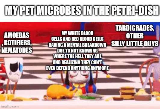 Fun fact I named one of my nematodes zooble | MY PET MICROBES IN THE PETRI-DISH; TARDIGRADES, OTHER SILLY LITTLE GUYS; MY WHITE BLOOD CELLS AND RED BLOOD CELLS HAVING A MENTAL BREAKDOWN DUE TO NOT KNOWING WHERE THE HELL THEY ARE AND REALIZING THEY CAN'T EVEN DEFEND ANYTHING ANYMORE; AMOEBAS , ROTIFIERS, NEMATODES | made w/ Imgflip meme maker