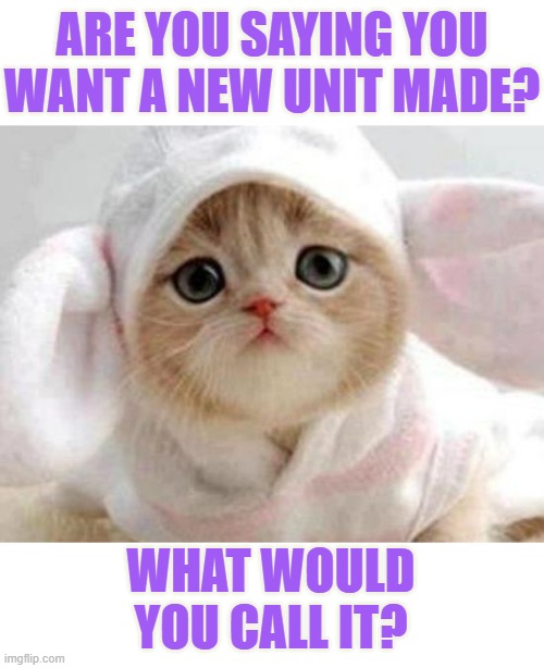 ARE YOU SAYING YOU WANT A NEW UNIT MADE? WHAT WOULD YOU CALL IT? | made w/ Imgflip meme maker