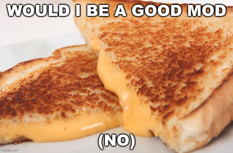saturn :| | WOULD I BE A GOOD MOD; (NO) | image tagged in grilled cheese | made w/ Imgflip meme maker